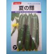 画像1: [キュウリ]　夏の輝　1.1ｍｌ　（株）タカヤマシード (1)