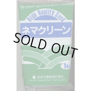 画像: [緑肥]　ネマクリーン(マメ科)1kg　カネコ種苗(株)