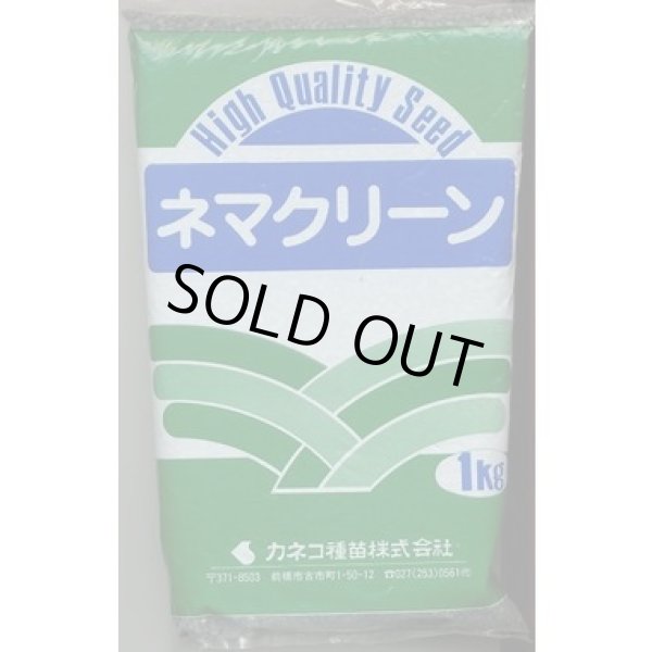 画像1: [緑肥]　ネマクリーン(マメ科)1kg　カネコ種苗(株) (1)