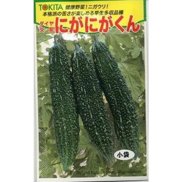 画像1: 送料無料　[ゴーヤ]　にがにがくん　10粒　トキタ種苗(株) (1)