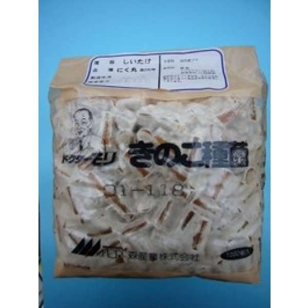 画像1: [きのこ菌]　しいたけ菌(肉丸)1000個入り (1)