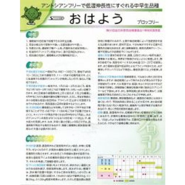 画像3: 送料無料　[ブロッコリー]　おはよう　ペレット5000粒　(株)サカタのタネ (3)