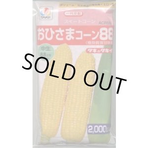 画像: 送料無料[とうもろこし]　おひさまコーン88　2000粒　タキイ種苗(株)