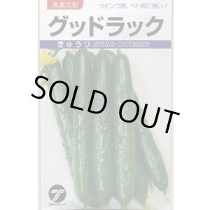 画像: 送料無料　[キュウリ]　グッドラック　350粒　(株)タカヤマシード