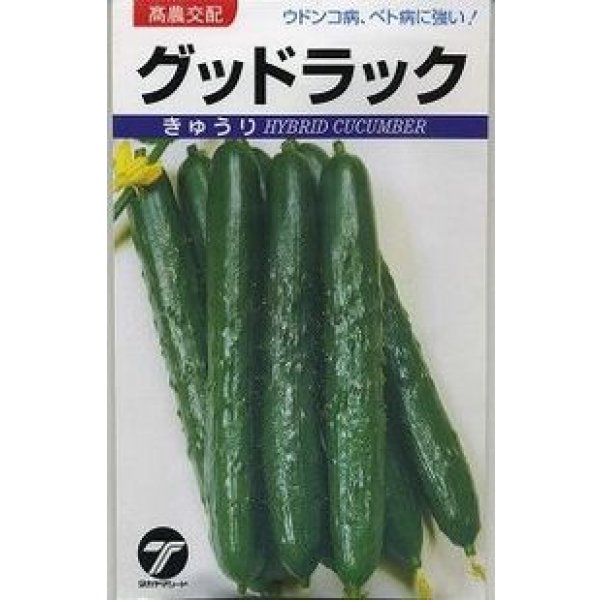 画像1: 送料無料　[キュウリ]　グッドラック　350粒　(株)タカヤマシード (1)