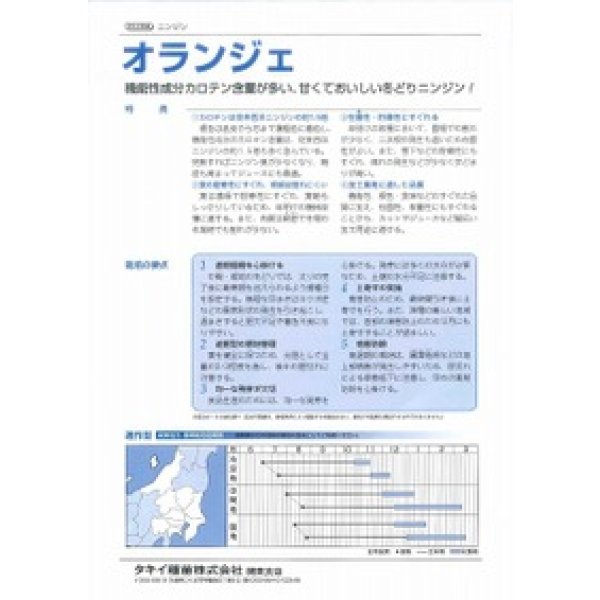 画像3: [人参] オランジェ ペレット種子1万粒 タキイ種苗(株) (3)