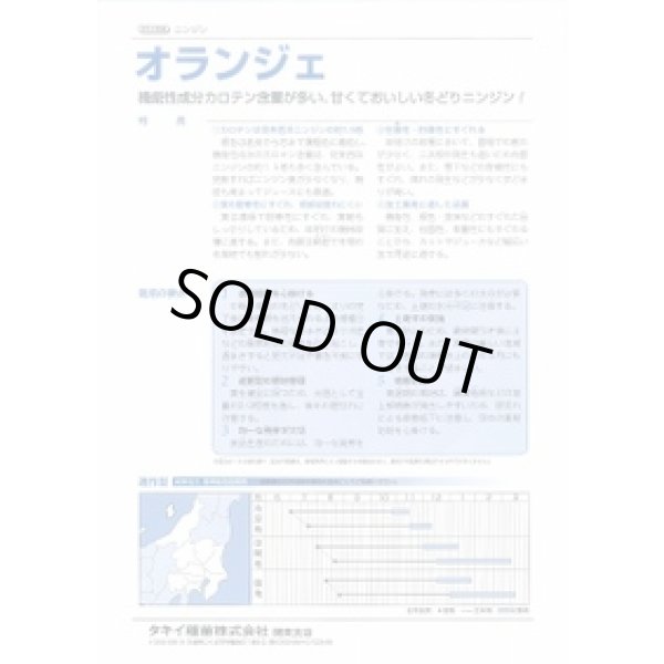 画像3: 送料無料 [人参] オランジェ ペレット500粒 タキイ種苗(株) (3)