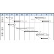 画像5: [ほうれんそう]　オーライ　1L　タキイ種苗（株） (5)