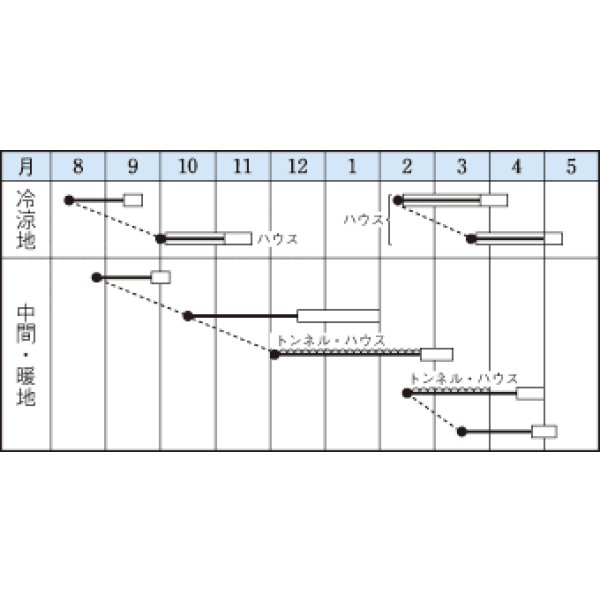 画像4: 送料無料　[ほうれんそう]　オーライ　1dl　タキイ種苗(株) (4)