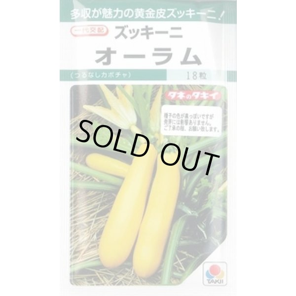 画像1: 送料無料　[ズッキーニ]　オーラム　16粒　タキイ一代交配　GF (1)