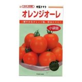 画像: 送料無料　[トマト/中玉トマト]　オレンジオーレ　14粒　カネコ交配