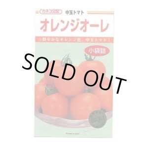 画像: 送料無料　[トマト/中玉トマト]　オレンジオーレ　14粒　カネコ種苗（株）