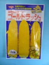 画像: 送料無料　[とうもろこし]　ゴールドラッシュ　200粒　(株)サカタのタネ