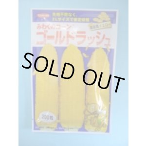 画像: 送料無料　[とうもろこし]　ゴールドラッシュ　200粒　(株)サカタのタネ