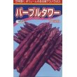 画像1: [アスパラガス]　送料無料！　パープルタワー　　500粒　渡辺農事（株） (1)