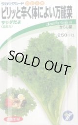画像: 送料無料　[葉物]　からし菜　サラダだよ　ピリッと辛く体によい万能菜　5ml　(株)タカヤマシード