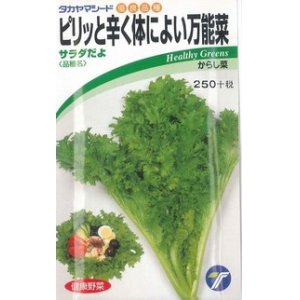 画像: [葉物]　からし菜　サラダだよ 　ピリッと辛く体によい万能菜　5ml　（株）タカヤマシード