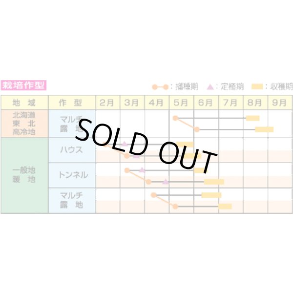 画像5: [枝豆]　味風香　1L　雪印種苗(株) (5)