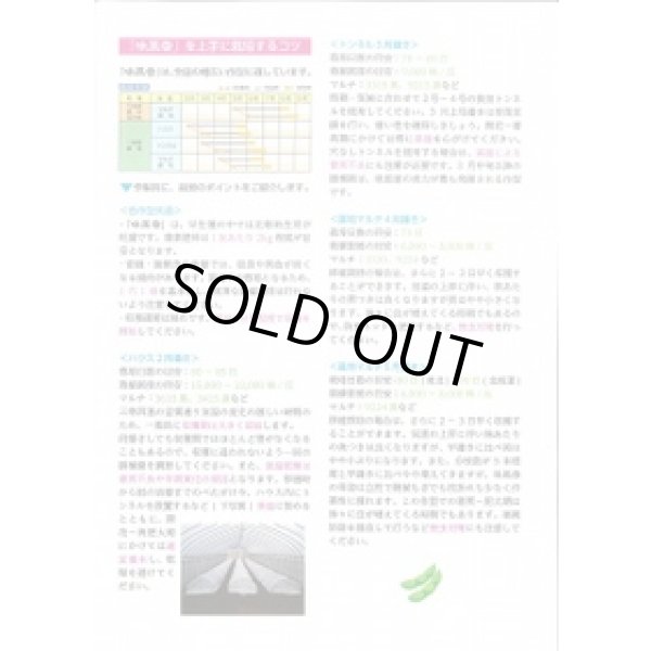 画像3: [枝豆]　味風香　1L　雪印種苗(株) (3)