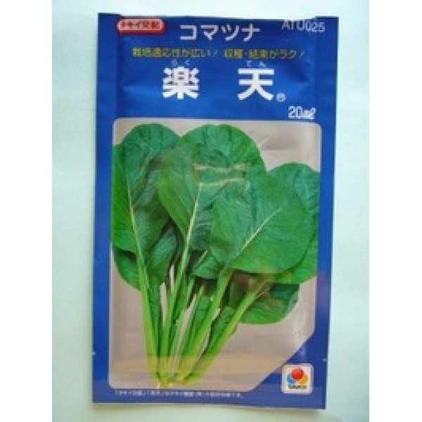 画像1: [小松菜]　楽天　20ml　タキイ種苗（株） (1)