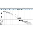 画像2: 送料無料　[小松菜]　楽天　2dl　タキイ種苗(株) (2)