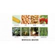 画像3: 農薬　除草剤　ラッソー乳剤　500ml (3)