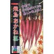 画像1: [かぶ]　飛鳥あかね蕪　2ml（約400粒）　ナント種苗（株） (1)