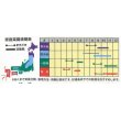 画像2: [かぶ]　飛鳥あかね蕪　2ml（約400粒）　ナント種苗（株） (2)