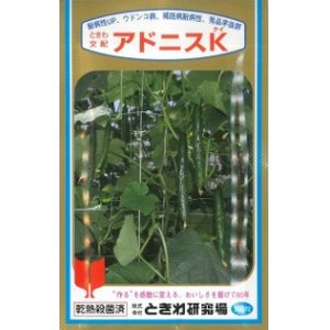 画像: [キュウリ]　送料無料！アドニスK　350粒　（株）ときわ研究場