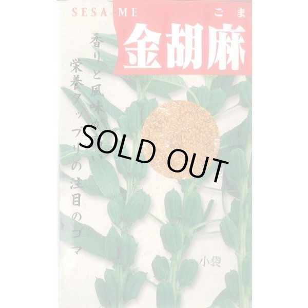 画像1: 送料無料　[胡麻]　金胡麻　1dl (1)