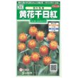 画像1: 花の種　黄花千日紅　約42粒　サカタのタネ（株）実咲250 (1)