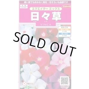 画像: 送料無料　花の種　日々草　エクエイターミックス　約58粒　(株)サカタのタネ　実咲350（026124）
