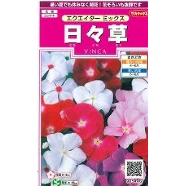 画像1: 花の種　日々草　エクエイターミックス　約58粒　サカタのタネ（株）実咲350 (1)