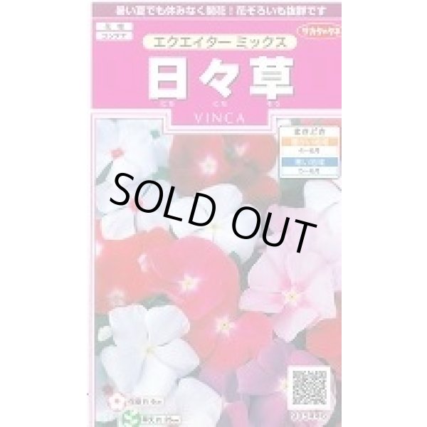 画像1: 送料無料　花の種　日々草　エクエイターミックス　約58粒　(株)サカタのタネ　実咲350（026124） (1)