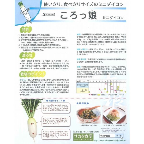 画像3: 送料無料　[大根]　ミニダイコン　ころっ娘　20ml　(株)サカタのタネ (3)