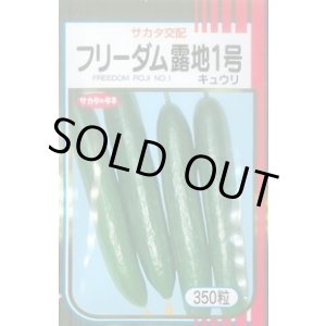 画像: 送料無料　[キュウリ]　フリーダム露地1号　350粒　(株)サカタのタネ