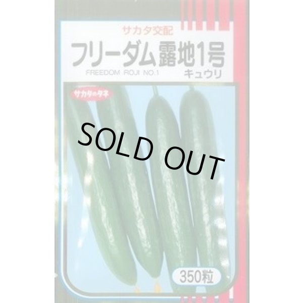 画像1: 送料無料　[キュウリ]　フリーダム露地1号　350粒　(株)サカタのタネ (1)