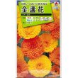 画像1: 花の種　金盞花　スター混合　　5ml　タキイ種苗 (1)