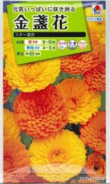 画像: 送料無料　花の種　金盞花　スター混合　5ml　タキイ種苗(株)NL200