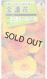 画像: 送料無料　花の種　金盞花　スター混合　5ml　タキイ種苗(株)