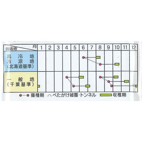 画像2: [シーダー種子]　大根　ころっ娘　1粒×25cm×200m (2)
