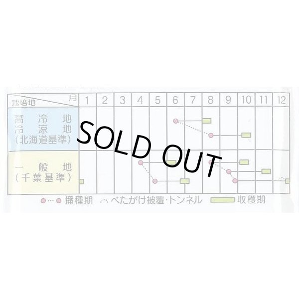 画像2: [シーダー種子]　大根　ころっ娘　1粒×25cm×200m (2)