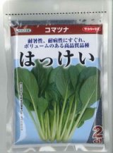 画像: 送料無料　[小松菜]　はっけい　2dl　（株）サカタのタネ