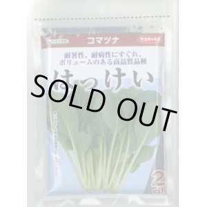 画像: 送料無料　[小松菜]　はっけい　2dl　（株）サカタのタネ