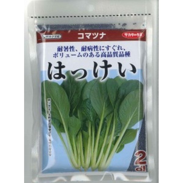 画像1: [小松菜]　はっけい　2dl　サカタ交配　 (1)