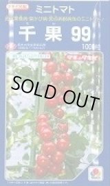 画像: 送料無料　[トマト/ミニトマト]　千果99　1000粒　タキイ種苗(株)