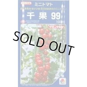 画像: 送料無料　[トマト/ミニトマト]　千果99　1000粒　タキイ種苗(株)