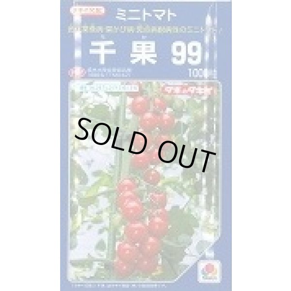画像1: 送料無料　[トマト/ミニトマト]　千果99　1000粒　タキイ種苗(株) (1)
