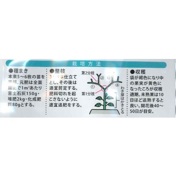 画像3: 送料無料　キャンディーランタン　14粒　（株）大和農園 (3)