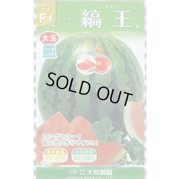 画像1: 送料無料　[スイカ]　大玉スイカ　縞王西瓜　7粒　（株）大和農園 (1)